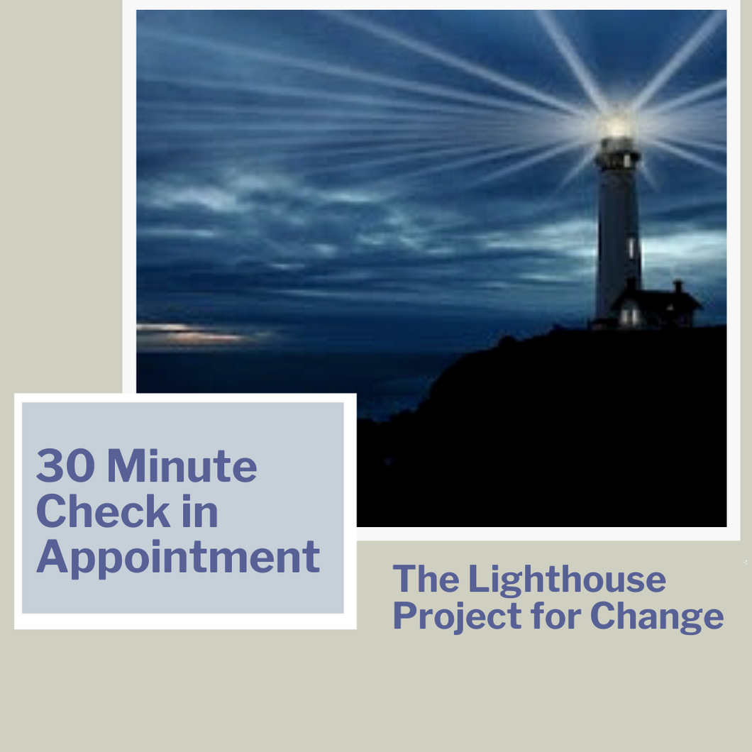 30 minute Check-in Appointments